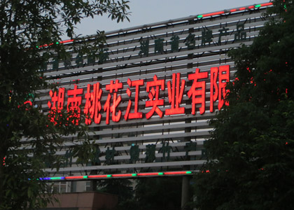 桃花江實業夜景